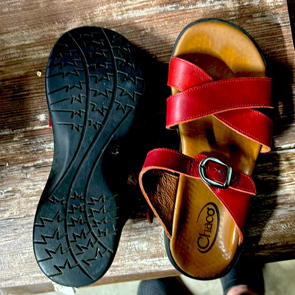 Dark red chaco Sandler